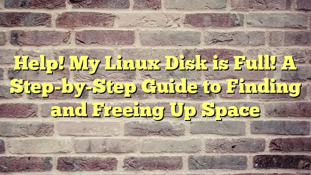 › Help! My Linux Disk is Full! A Step-by-Step Guide to Finding and Freeing Up Space Help! My Linux Disk is Full! A Step-by-Step Guide to Finding and Freeing Up Space