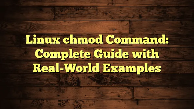 Linux chmod Command: Complete Guide with Real-World Examples › Linux chmod Command: Complete Guide with Real-World Examples Linux chmod Command: Complete Guide with Real-World Examples