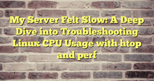 › My Server Felt Slow: A Deep Dive into Troubleshooting Linux CPU Usage with htop and perf My Server Felt Slow: A Deep Dive into Troubleshooting Linux CPU Usage with htop and perf