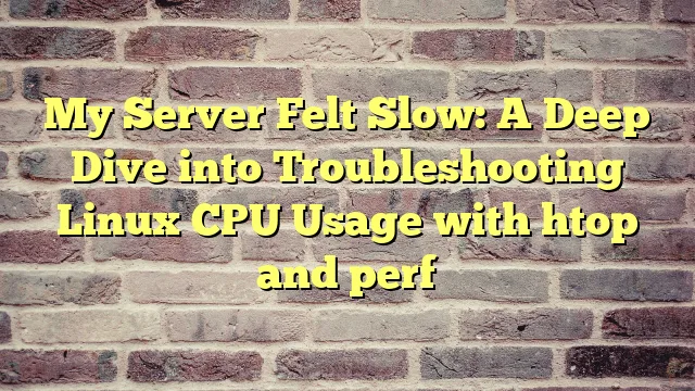 My Server Felt Slow: A Deep Dive into Troubleshooting Linux CPU Usage with htop and perf › My Server Felt Slow: A Deep Dive into Troubleshooting Linux CPU Usage with htop and perf My Server Felt Slow: A Deep Dive into Troubleshooting Linux CPU Usage with htop and perf